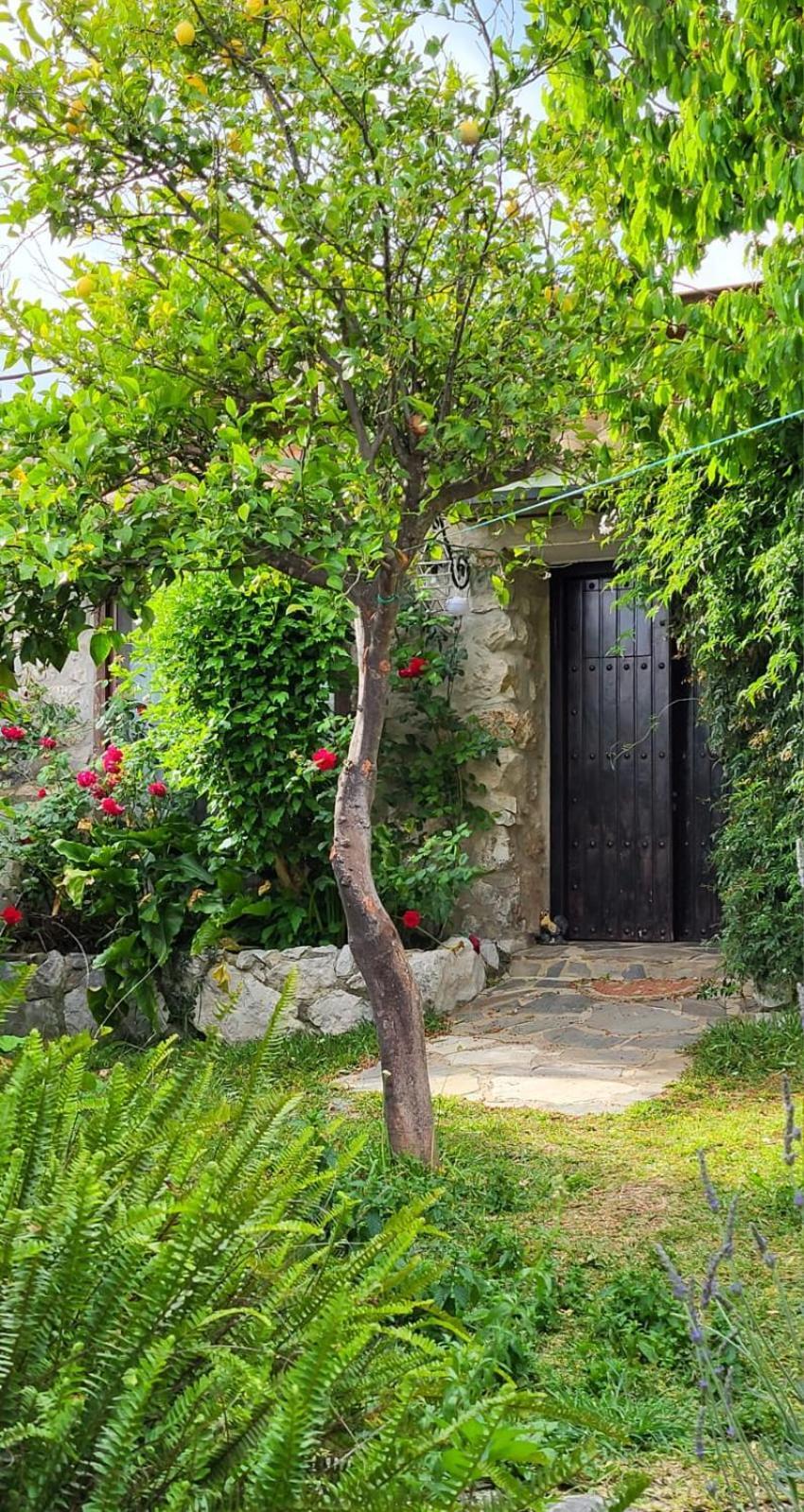 Casa Nani Villa Benaocaz Exterior photo